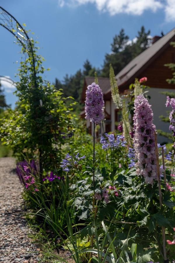 Cottage On The Hill Kielno ภายนอก รูปภาพ